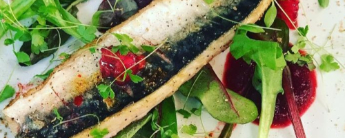 Grilled mackerel and beetroot puree and salad