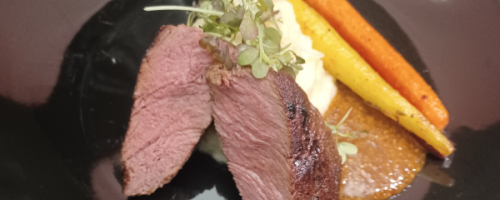 Sous Vide Tenderloin, Whipped root vegetable, roasted carrot