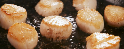 Scallops flambèe