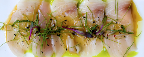 Local fish Crudo with green oil and Citrus